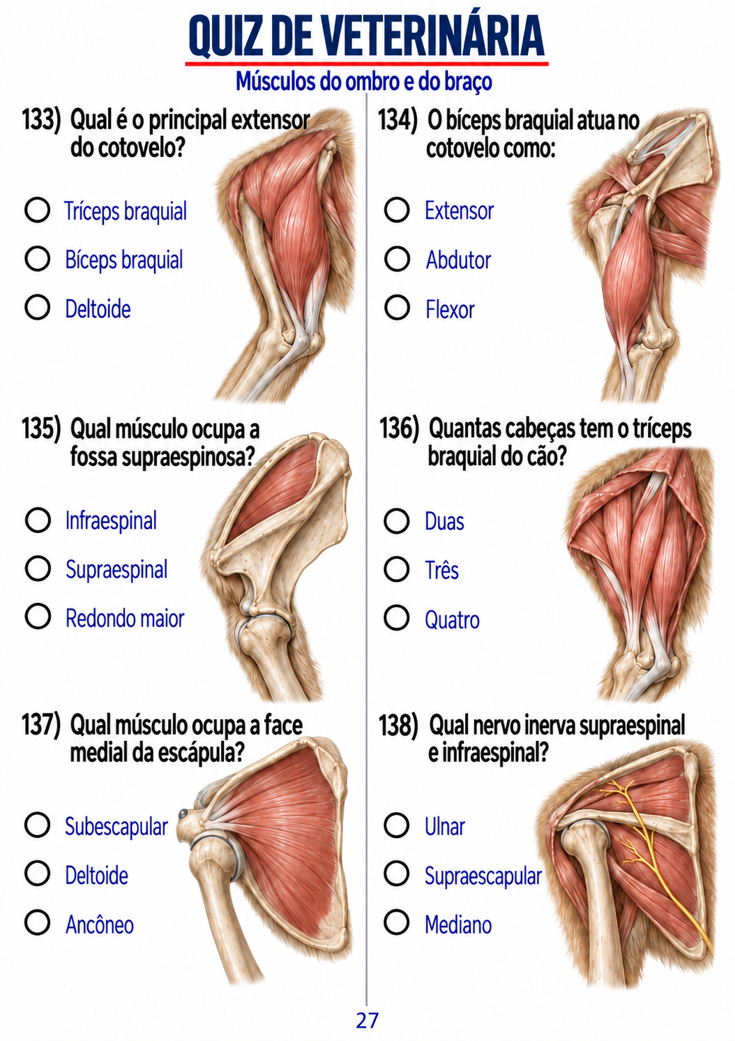Rodada visual sobre o membro torácico