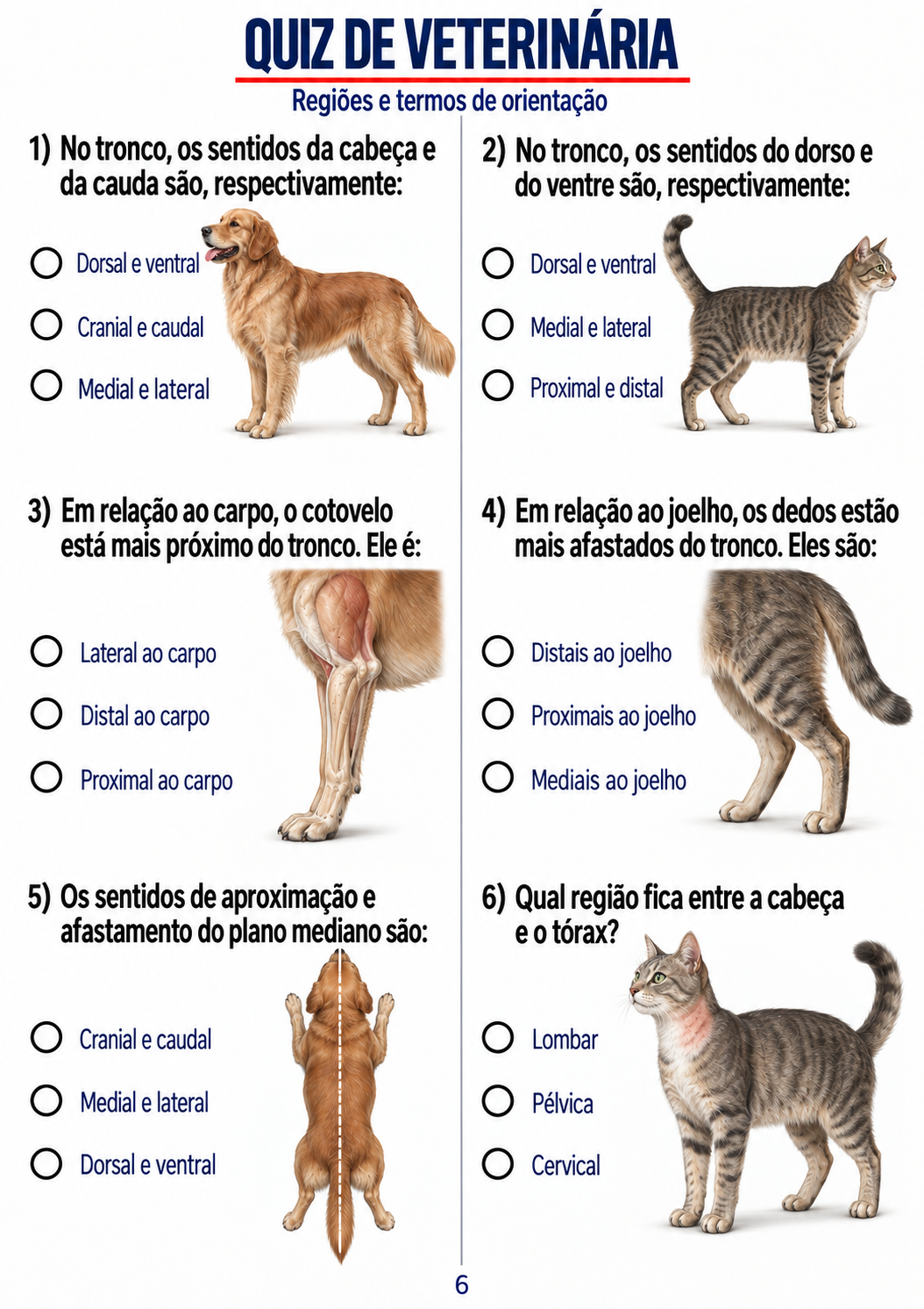 Rodada visual sobre regiões e termos de orientação
